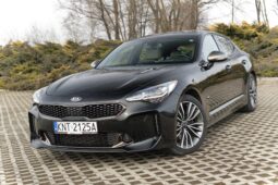 
										Kia Stinger full									