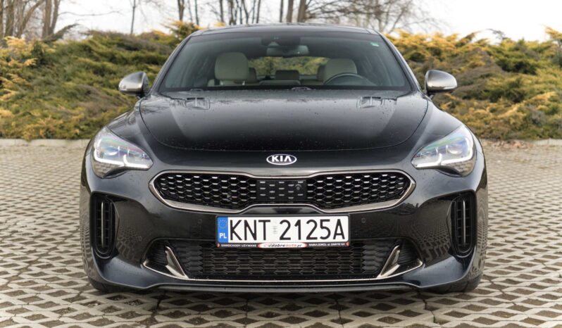 
								Kia Stinger full									