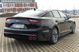 
										Kia Stinger full									