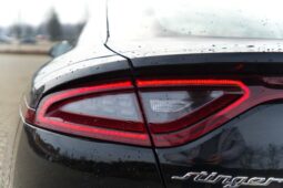 
										Kia Stinger full									