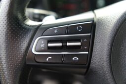 
										Kia Stinger full									