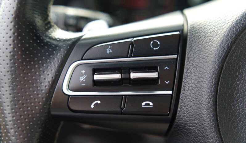 
								Kia Stinger full									