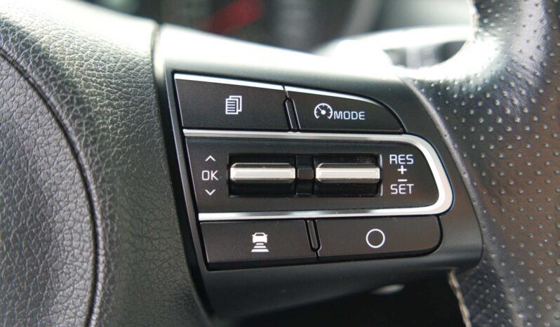 
								Kia Stinger full									