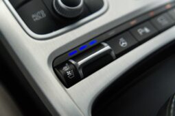 
										Kia Stinger full									