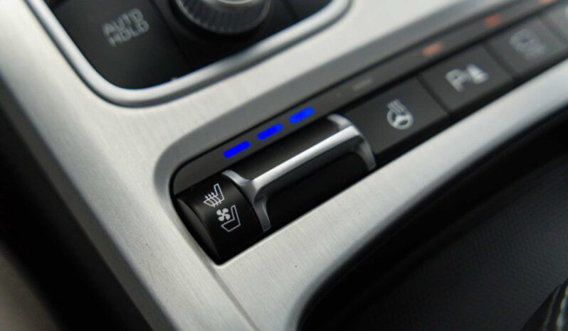 
								Kia Stinger full									