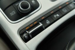 
										Kia Stinger full									