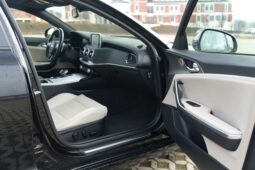 
										Kia Stinger full									