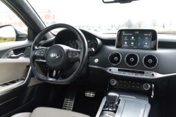 
										Kia Stinger full									