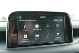 
										Kia Stinger full									