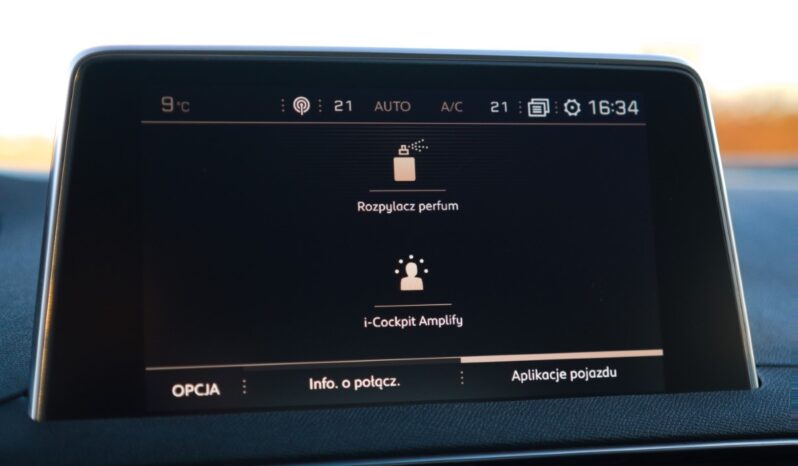 
								Peugeot 3008 full									