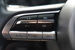 
										Mazda CX-30 full									