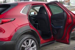 
										Mazda CX-30 full									