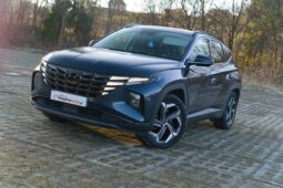 
										Hyundai Tucson full									