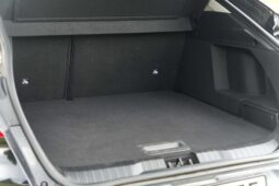 
										Renault Arkana full									