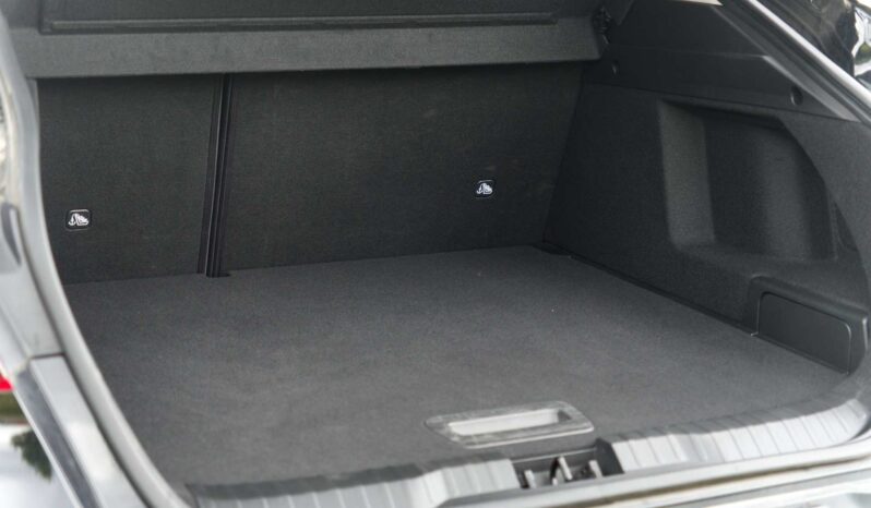 
								Renault Arkana full									
