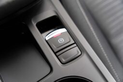 
										Renault Arkana full									