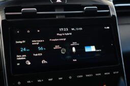 
										Hyundai Tucson full									