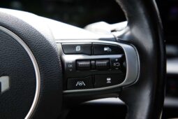 
										Kia Sportage full									