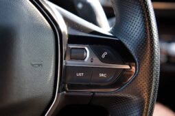 
										Peugeot 3008 full									