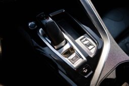 
										Peugeot 3008 full									