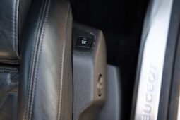 
										Peugeot 3008 full									