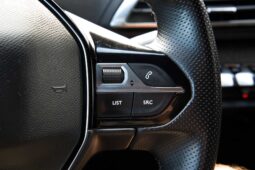 
										Peugeot 5008 full									